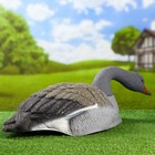 Фигура подсадная "Гусь серый кормящийся" полукорпус, 58 х 35 х 17 см - Фото 3