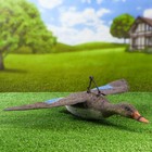 Фигура подсадная "Кряква кормящаяся" утка 13*15*25 см - Фото 3