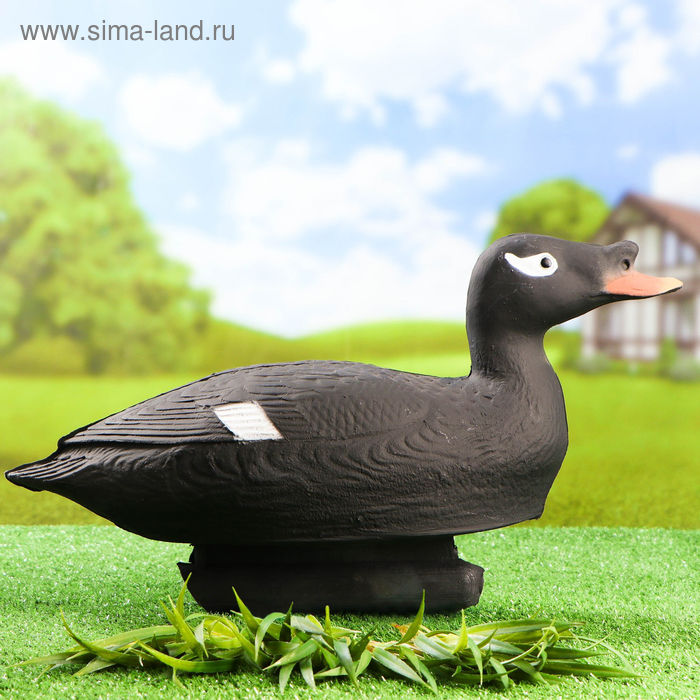 Фигура подсадная "Турпан горбоносый" селезень, 48 х 16 х 25 см - Фото 1