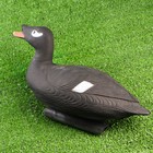 Фигура подсадная "Турпан горбоносый" селезень, 48 х 16 х 25 см - Фото 3