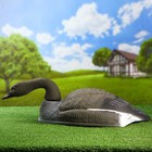 Фигура подсадная "Гусь гуменник кормящийся" полукорпус 58*35*17 см - Фото 2