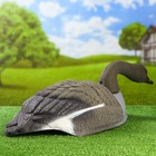 Фигура подсадная "Гусь гуменник кормящийся" полукорпус 58*35*17 см - Фото 3