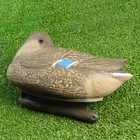 Фигура подсадная "Кряква отдыхающая" утка 33*16*20 см - Фото 3