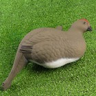 Фигура подсадная "Тетерка" 30*14*34 см - Фото 2