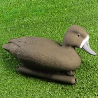 Фигура подсадная "Чернеть морская" утка, 33 х 14 х 18 см - Фото 2