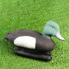 Фигура подсадная "Чернеть морская" селезень 33*14*18 см - Фото 2