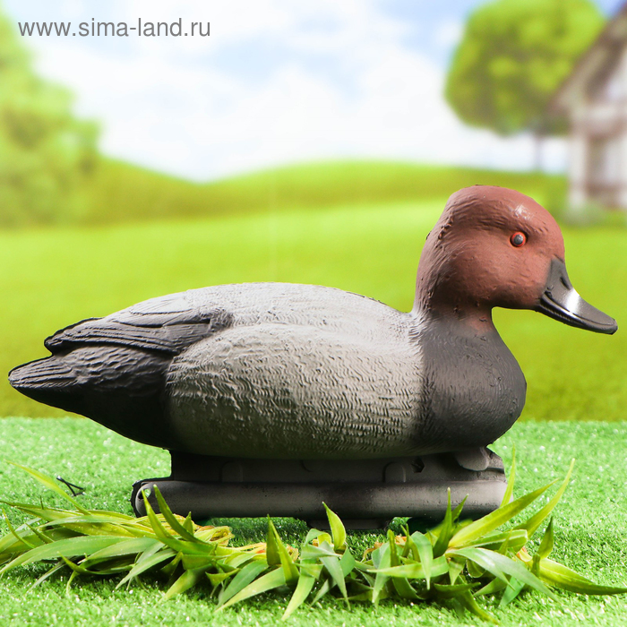 Фигура подсадная "Красноголовый нырок" селезень, 28 х 15 х 17 см - Фото 1