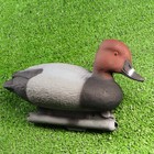 Фигура подсадная "Красноголовый нырок" селезень, 28 х 15 х 17 см - Фото 2