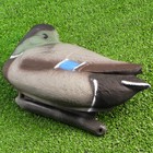 Фигура подсадная "Кряква отдыхающая" селезень, 33 х 17 х 20 см - Фото 3