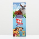 Палочки "Seven Seeds special" для кроликов и морских свинок, фрукты, 2 шт, 100 г - фото 9362953