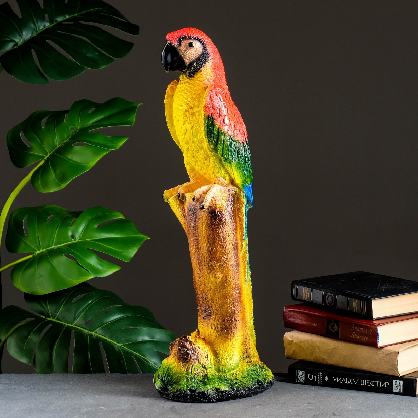 Рубиновый ара. Триол 5005 клетка для попугаев. Игрушки для крупных попугаев. Попугай ара в зоомагазине. Попугаи в зоомагазине.