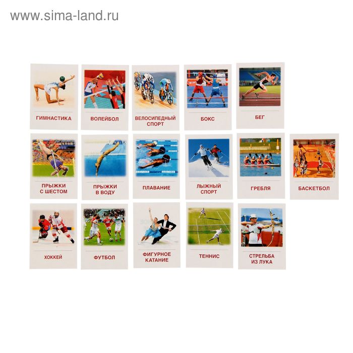 Карточки обучающие "Виды спорта" 16 шт. 6,3 х 8,7 см - Фото 1