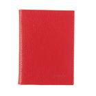 Обложка для автодокументов и паспорта, красный флотер - Фото 1