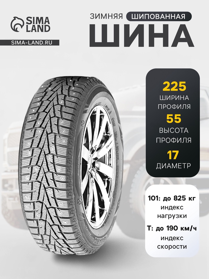 Шина зимняя шипованная Roadstone WinGuard winSpike 225/55 R=17 101T - Фото 1
