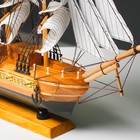 Корабль сувенирный средний «Астрильд», борта светлое дерево, паруса бежевые, 48,5х44х8 см - фото 8262659