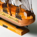 Корабль сувенирный средний «Астрильд», борта светлое дерево, паруса бежевые, 48,5х44х8 см - Фото 15