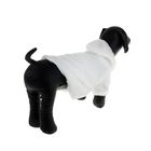 Шубка белая с капюшоном для собак,  (ДС=19 см, ОГ=31 см, ОШ=22 см) XS - Фото 2
