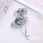 Брошь «Галиотис» цветок в серебре - Фото 1