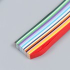 Набор для квиллинга 160 полосок шириной 0.5 см, инструмент «Цветы» 20×8.7 см - Фото 2