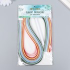 Набор для квиллинга 160 полосок шириной 0.5 см, инструмент «Цветы» 20×8.7 см - Фото 4