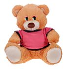 Мягкая игрушка «Медведь в футболке», 45 см, цвета МИКС - Фото 1