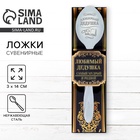 Ложка чайная с гравировкой «Любимый дедушка», в подарочной коробке, 3×14 см - Фото 1