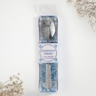 Ложка чайная с гравировкой «Любимая мама», в подарочной коробке, 3×14 см - Фото 4