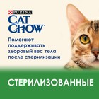 Сухой корм CAT CHOW для стерилизованных кошек, 1.5 кг - Фото 3