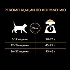 Сухой корм PRO PLAN для котят, курица/рис, 400 г - Фото 6