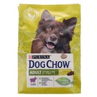 Сухой корм DOG CHOW для собак, ягненок, 2.5 кг - Фото 1