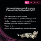 Сухой корм PURINA Stox UR диета для кошек, профилактика МКБ, курица 1.5 кг - Фото 4