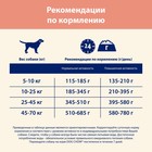 Сухой корм DOG CHOW SENSITIVE для собак с чувствительным пищеварением, лосось, 14 кг - Фото 10