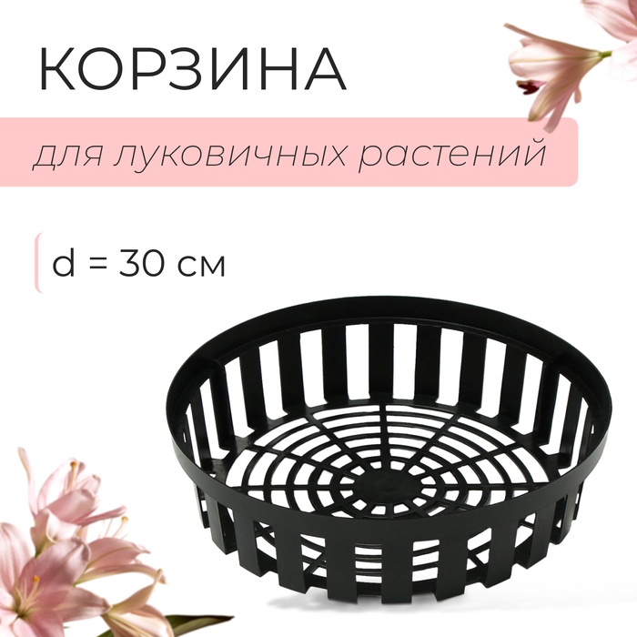 Корзина для посадки луковичных растений, круглая, d=30 см, h=8 см, чёрная - Фото 1