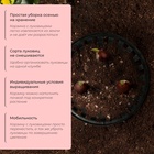 Корзина для посадки луковичных растений, круглая, d=30 см, h=8 см, чёрная - Фото 5