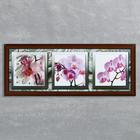 Часы-картина настенные, серия: Цветы, "Орхидеи в черно-белой рамке", 35 х 100 см - Фото 1