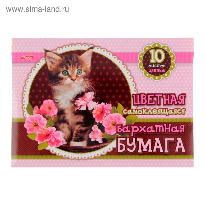 Бумага цветная бархатная самоклеящаяся А5, 10 листов, 10 цветов "Котенок в цветах" в папке, европодвес - Фото 1