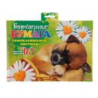 Бумага цветная бархатная самоклеящаяся А5, 10 листов, 10 цветов "Спящий щенок" в папке, европодвес - Фото 1