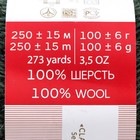 Пряжа для вязания спицами, крючком «Пехорский текстиль. Деревенская»,100% полугрубая шерсть, 250 м/100 г, (381 лавр) - Фото 2
