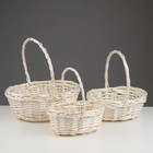 Корзина плетёная для хранения Tonga, ива, овальная, белая, набор 3 шт. - Фото 1