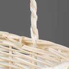 Корзина плетёная для хранения Tonga, ива, овальная, белая, набор 3 шт. - Фото 4