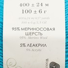 Пряжа "Австралийский меринос" 95%меринос. шерсть,5% акрил объёмный 400м/100гр (583-Бирюза) - фото 8263628