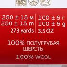 Пряжа для вязания спицами, крючком «Пехорский текстиль. Деревенская», 100% полугрубая шерсть, 250 м/100 г, (174 стальной) - Фото 2