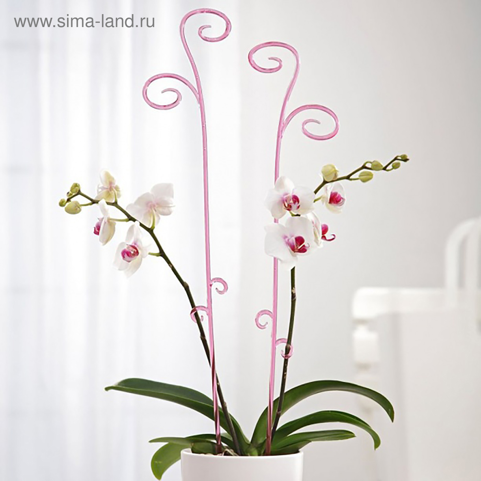 Держатель для орхидеи, 60 см, цвет МИКС (1231465) - Купить по цене от 40.00  руб.