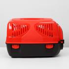 Переноска для животных "Сириус", 33,5 х 31 х 50 см, цвет красный - Фото 6