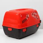 Переноска для животных "Сириус", 33,5 х 31 х 50 см, цвет красный - Фото 2