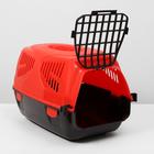 Переноска для животных "Сириус", 33,5 х 31 х 50 см, цвет красный - Фото 3