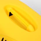 Переноска для животных "Сириус", 33,5 х 31 х 50 см, цвет жёлтый - Фото 4