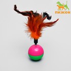 Игрушка-неваляшка для кошек с перьями, микс цветов - фото 317883518