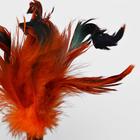 Игрушка-неваляшка для кошек, с перьями, цвет МИКС - Фото 2