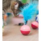 Игрушка-неваляшка для кошек с перьями, микс цветов - фото 9909981